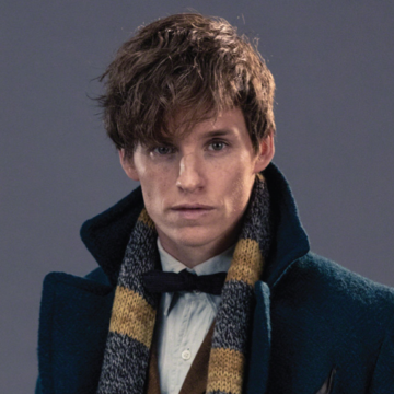A Letter to Newt Scamander